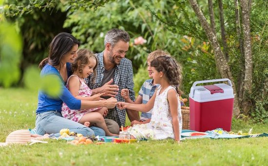 Luxe Elektrische Koelbox - Frigobox - Met Verwarmingsfunctie - 12V - Auto - ECO Mode - 230 volt - 20L Capaciteit - Rood van Luxe. — afbeelding 5