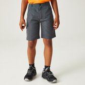 Pantalon court de randonnée The Sorcer Shorts II de Regatta - enfant - gris