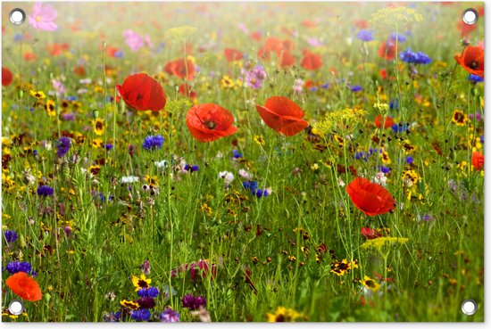 Tuindecoratie Lente - Bloemen - Rood - Klaproos - Gras - Groen - 60x40 cm - Tuinposter - Tuindoek - Buitenposter