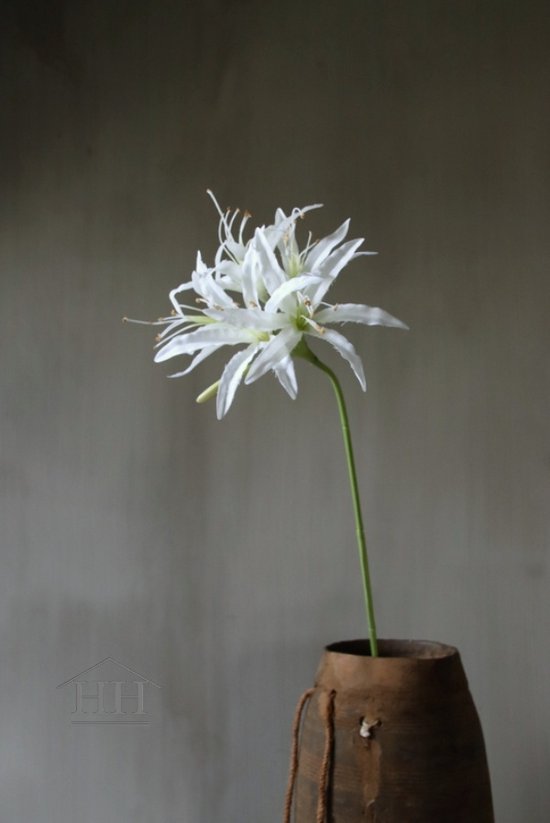 Kunstbloem - Nerine lily stem - wit - 81 cm - zijden bloemen - nepbloemen - witte bloemen