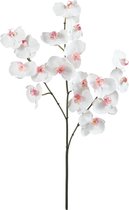 Roze en witte phalaenopsis kunstorchideestam H66