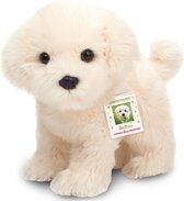 Hermann Teddy Knuffeldier hond Maltezer puppy - zachte pluche - premium kwaliteit knuffels - wit - 23 cm