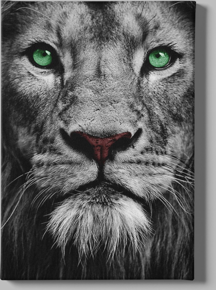 Trendex Global Canvas Schilderij - Wilde Dieren - Leeuw - Grijs - 60x40 cm