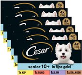 Cesar Senior 10+ Hondenvoer - Mix in Gelei - Honden Natvoer - Kuipjes 24 x 150 g