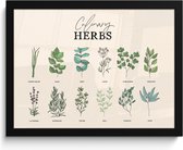 Cadre photo avec affiche - Cadre pour affiche 40x30 cm - Posters - Herbes - Plantes - Herbes - Vert - Vintage - Photo sous cadre - Décoration murale Cuisine - Accessoires de Décoration murale - Décoration murale - Peintures