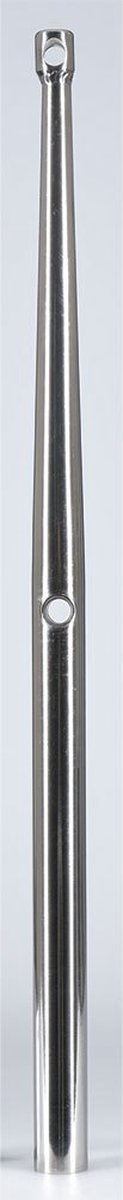 Talamex RVS Scepter 610 mm voor 2 relingdraden