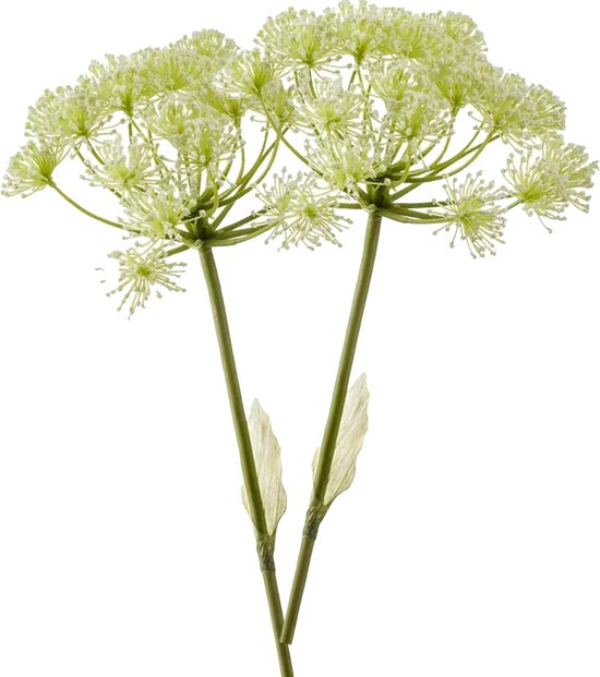Fleur artificielle Berce du Caucase 78 cm