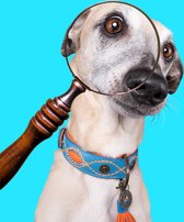 DWAM Dog with a Mission – Halsband hond – Hondenhalsband – Blauw – XXXS – Leer – Halsomvang tussen 15-21 x 2 cm – Jones