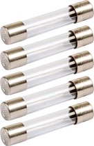 Glaszekeringen 5x20mm F(snel) - 315mA - Beschermt tegen kortsluiting - 5 stuks