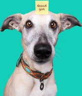 DWAM Dog with a Mission – Halsband hond – Hondenhalsband – Bruin – XXXS – Leer – Halsomvang tussen 15-21 x 2 cm – Joplin