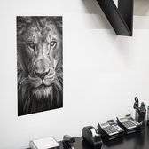 Poster Leeuw zwart-wit, A1 Synaps posterpapier