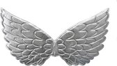 Prinsessen vleugels zilver bij prinsessenjurk eenhoorn jurk verkleedkleding verkleedjurk