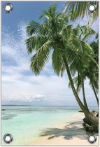 Tuinposter –Palmboom op Tropisch Eiland– 40x60  Foto op Tuinposter (wanddecoratie voor buiten en binnen)