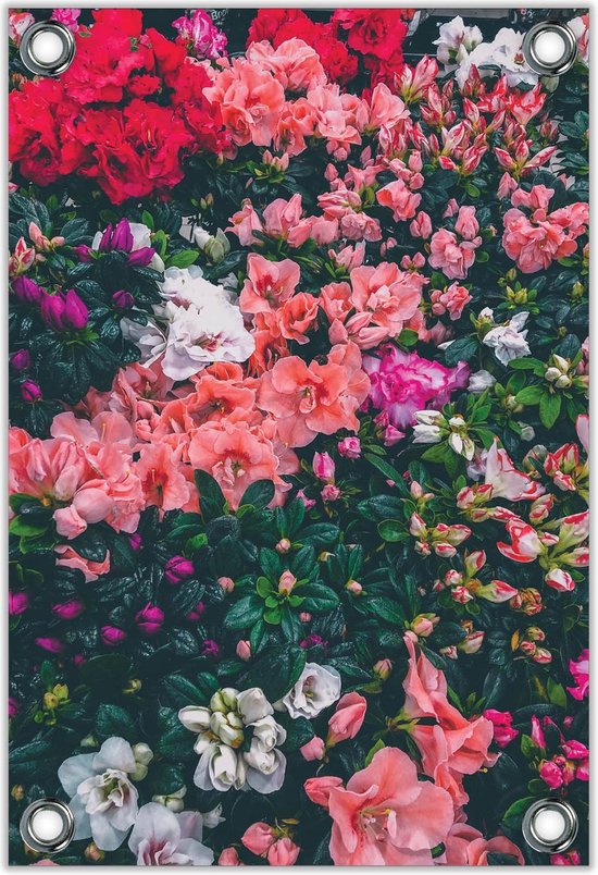 Tuinposter -Rood/Roze/Witte Bloemenstruik- Foto op Tuinposter (wanddecoratie voor buiten en binnen)