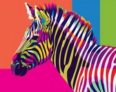 Hobbycave® Schilderen Op Nummer Volwassenen En Kinderen - Paint By Number - 40x50cm - Gekleurde Zebra