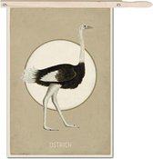 Schilderij - Ostrich