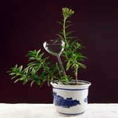 Waterdruppelaar  planten - vorm Hart