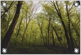Tuinposter –Bos met Bruine Bomen– 150x100 Foto op Tuinposter (wanddecoratie voor buiten en binnen)