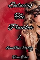 Seducing the Plumber 1: Sweet Time Waiting