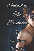 Seducing the Plumber 2: Sweet Torture