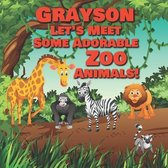 Grayson Let's Meet Some Adorable Zoo Animals!