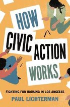 Princeton Studies in Cultural Sociology8- How Civic Action Works