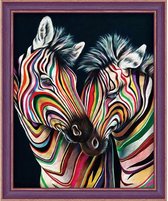 Daimond Painting kit Colourful Zebras 40x50