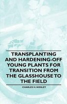 Transplanting and Hardening-off Young Plants for Transition from the Glasshouse to the Field
