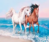 HappyHobby Diamond Painting Paarden op Strand - 35x45cm