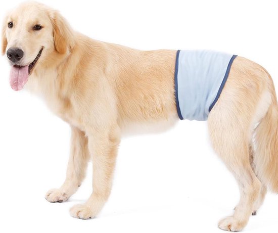 Honden buikband - luier voor mannelijke hond reu - plasband - wasbaar -  EXTRA LARGE - BLUE | bol.com
