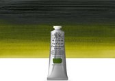 Winsor & Newton Professional Acrylic Tube - Permanent Sap Green (503) 60 ml