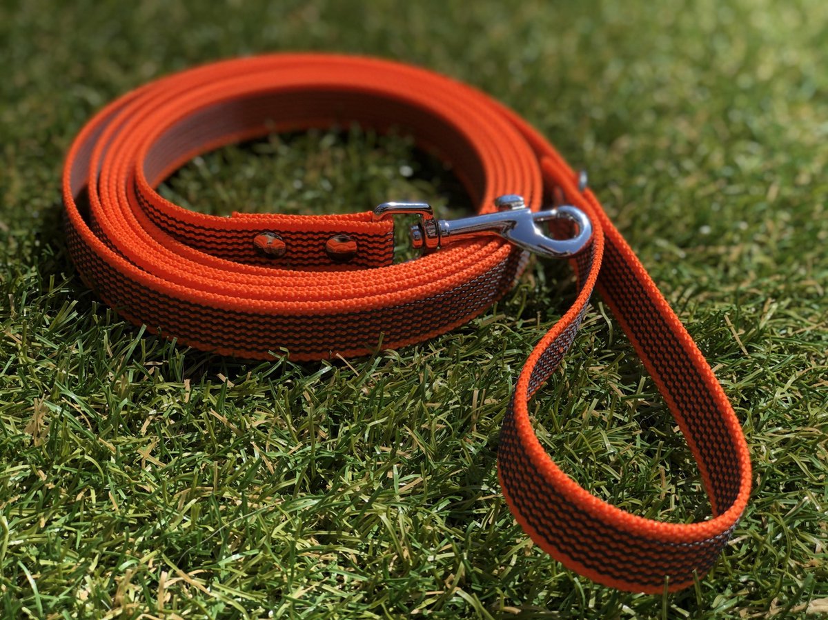 Bol.com Hondenriem 10 meter - Antislip - Oranje - Veilig - Grip - Comfortabel aanbieding
