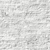 Palma shabby muur wit pleisterwerk (vliesbehang, wit)