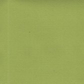 Agora Lisos Verde Claro 3726  groen stof per meter, buitenstof, tuinkussens, palletkussens