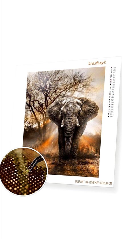 F4B Olifant In Schemer Diamond Painting 40x50cm - Ronde Steentjes Volledig Dekkend Dierenpakket