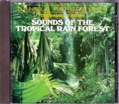 Sounds Of The Tropical Rain Forest
