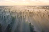 Schilderij natuur 180 x 120 - Pixello - canvas - woonkamer - slaapkamer - print