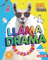 Internet Animal Stars- Llama Drama