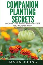 Inspiring Gardening Ideas- Companion Planting Secrets - Organic Gardening to Deter Pests and Increase Yield