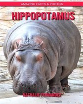 Hippopotamus