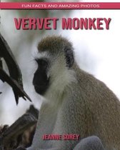 Vervet Monkey