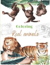 Coloring Real animals