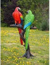 2 Gekleurde papegaaien op boomstam