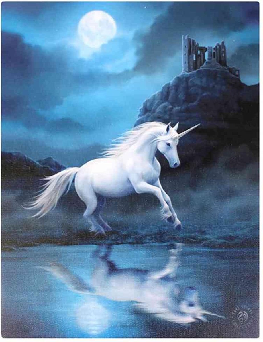Anne Stokes canvas schilderij Moonlight Unicorn
