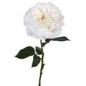 Viv! Home Luxuries Engelse roos - zijden bloem - wit - topkwaliteit
