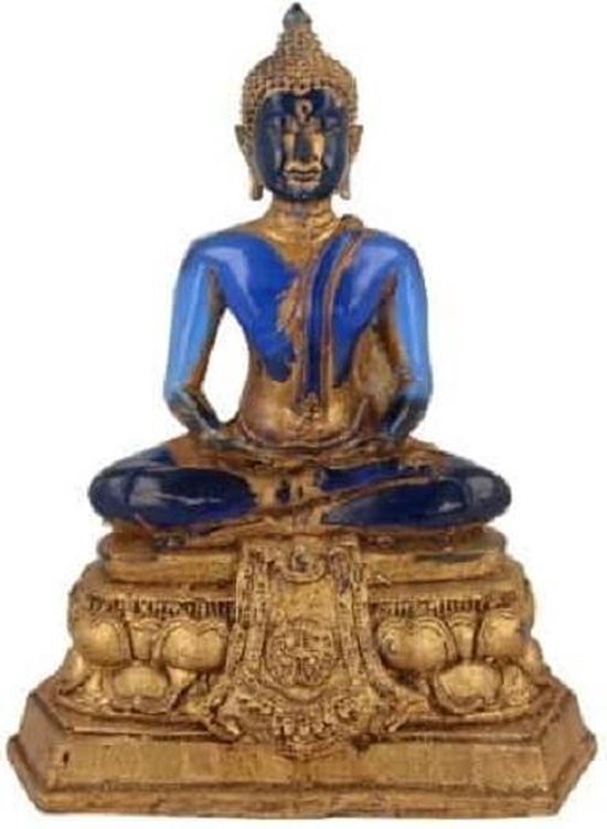 Onderwijs Keuze Promoten Groot Beeld van Boeddha (Blauw) | bol.com