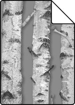 Proefstaal ESTAhome behangpapier berken boomstammen taupe grijs en licht warm grijs - 138892 - 26,5 x 21 cm