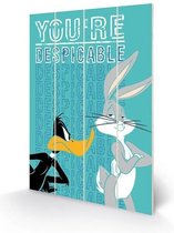 LOONEY TUNES - Houten wandbord 40X59 - You're Despicable