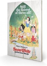 DISNEY - Printing on wood 40X59 - Snow White Still the Faires