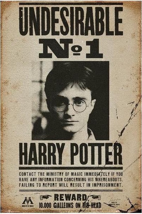 Harry Potter Poster - Collection - 61x91,5 Cm